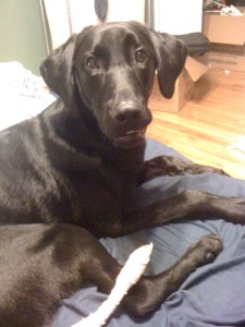 4015379087_37e2b29bd1 4015379087_37e2b29bd1